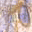 DRAGON QUEST5Et[B26K